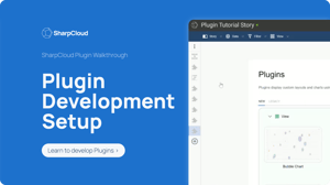 Website_Developers_PluginSetup