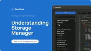 Website_Developers_StorageManager